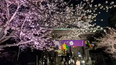 知恩院(京都府)