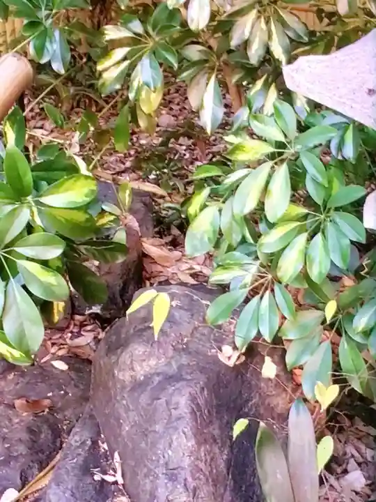 くまくま神社(導きの社 熊野町熊野神社)(東京都)