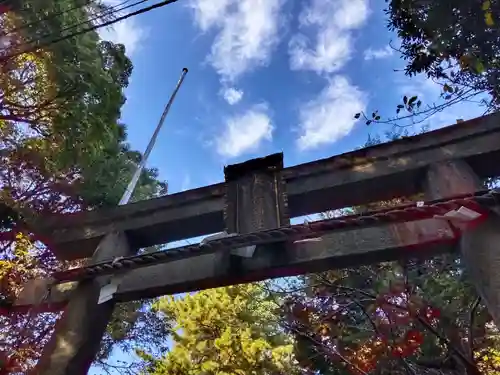 水稲荷神社の鳥居