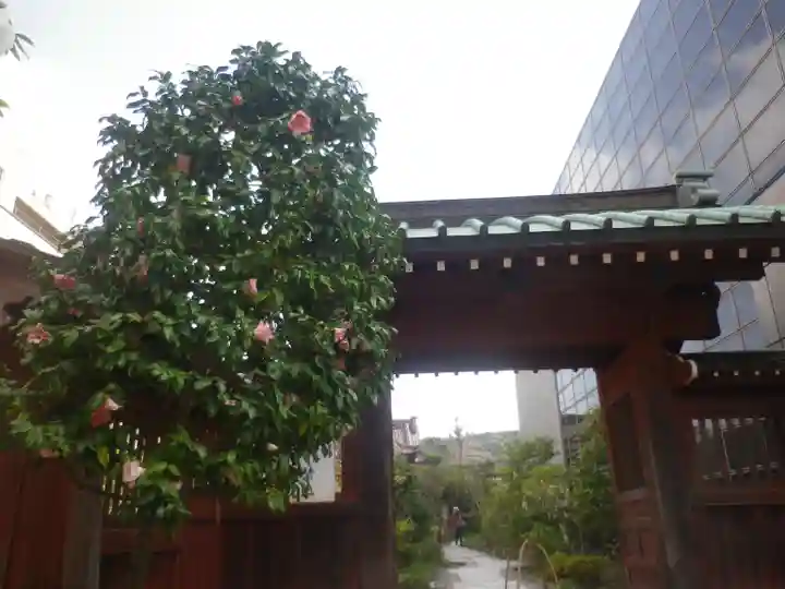 大巧寺の山門・神門