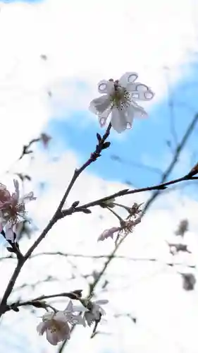 十輪寺(京都府)