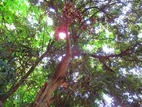 喜多見氷川神社(東京都)