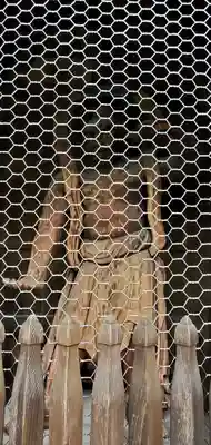 高幡不動尊 金剛寺の像