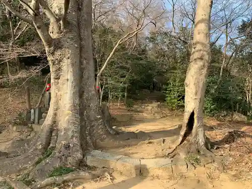 金龍寺(群馬県)