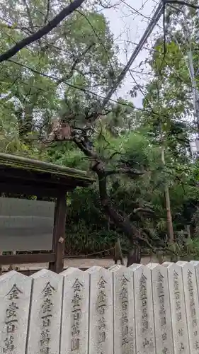 杭全神社(大阪府)