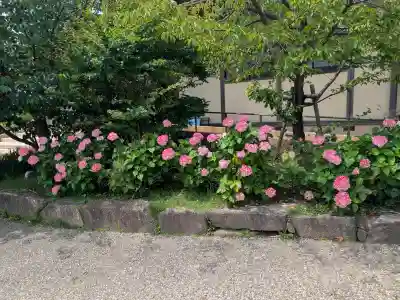 光明寺(神奈川県)