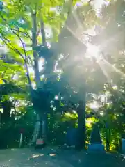 大鷲神社の自然