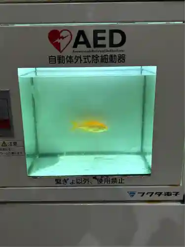 明星来影寺(高知県)