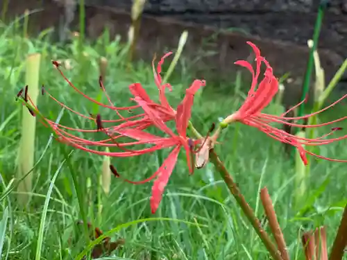 横浜　西方寺の自然