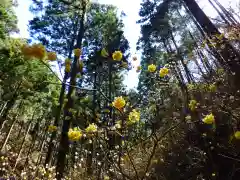 焼森山雷神神社の自然