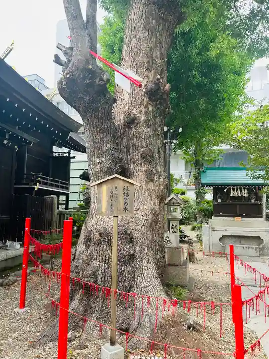 三輪神社の自然