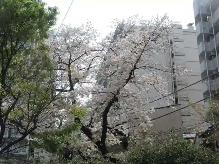 大井蔵王権現神社(東京都)