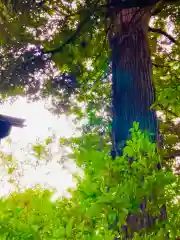 成田熊野神社(千葉県)