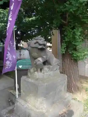 王子白髭神社の狛犬
