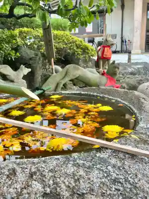 東京羽田 穴守稲荷神社の{uncategorized: "未分類", other: "その他", undefined: "問題あり", building: "その他建物", grave: "お墓", sacred_gate: "鳥居", guardian: "狛犬", statue: "像", buddha: "仏像", history: "歴史", nature: "自然", garden: "庭園", animal: "動物", pagoda: "塔", temizu: "手水舎", mountain_gate: "山門・神門", sanctuary: "本殿・本堂", subordinate: "末社・摂社", art: "芸術", scenery: "景色", jizo: "地蔵", ema: "絵馬", goshuin: "御朱印", omikuji: "おみくじ", items: "授与品その他", amulet: "お守り", goshuincho: "御朱印帳", eats: "食事", festival: "お祭り", votive_dance: "神楽", shichigosan: "七五三参", wedding: "結婚式", experience: "体験その他", initially: "初詣", around: "周辺", anti_infection: "感染症対策"}