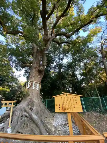 和泉國一之宮　大鳥大社のその他建物