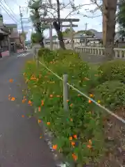 深見神社(神奈川県)