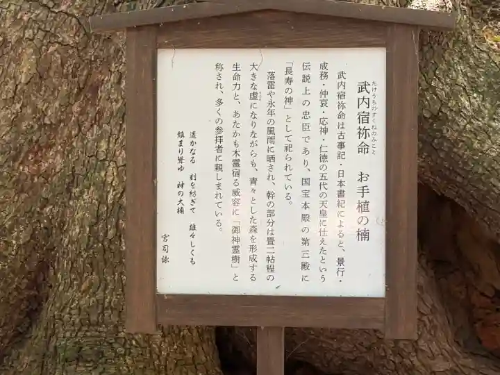 住吉神社の{uncategorized: "未分類", other: "その他", undefined: "問題あり", building: "その他建物", grave: "お墓", sacred_gate: "鳥居", guardian: "狛犬", statue: "像", buddha: "仏像", history: "歴史", nature: "自然", garden: "庭園", animal: "動物", pagoda: "塔", temizu: "手水舎", mountain_gate: "山門・神門", sanctuary: "本殿・本堂", subordinate: "末社・摂社", art: "芸術", scenery: "景色", jizo: "地蔵", ema: "絵馬", goshuin: "御朱印", omikuji: "おみくじ", items: "授与品その他", amulet: "お守り", goshuincho: "御朱印帳", eats: "食事", festival: "お祭り", votive_dance: "神楽", shichigosan: "七五三参", wedding: "結婚式", experience: "体験その他", initially: "初詣", around: "周辺", anti_infection: "感染症対策"}