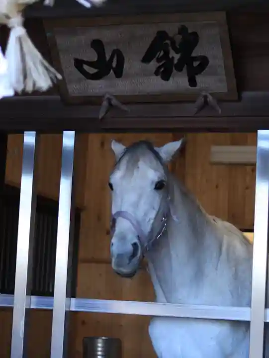 多度大社(三重県)