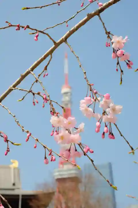 増上寺の{uncategorized: "未分類", other: "その他", undefined: "問題あり", building: "その他建物", grave: "お墓", sacred_gate: "鳥居", guardian: "狛犬", statue: "像", buddha: "仏像", history: "歴史", nature: "自然", garden: "庭園", animal: "動物", pagoda: "塔", temizu: "手水舎", mountain_gate: "山門・神門", sanctuary: "本殿・本堂", subordinate: "末社・摂社", art: "芸術", scenery: "景色", jizo: "地蔵", ema: "絵馬", goshuin: "御朱印", omikuji: "おみくじ", items: "授与品その他", amulet: "お守り", goshuincho: "御朱印帳", eats: "食事", festival: "お祭り", votive_dance: "神楽", shichigosan: "七五三参", wedding: "結婚式", experience: "体験その他", initially: "初詣", around: "周辺", anti_infection: "感染症対策"}