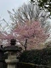 上野東照宮の自然