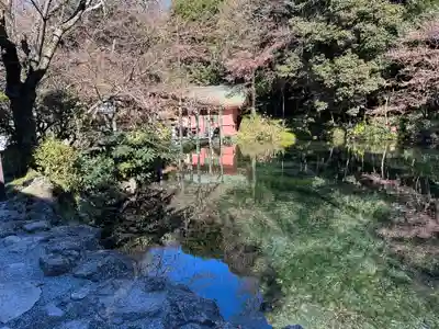 富士山本宮浅間大社(静岡県)