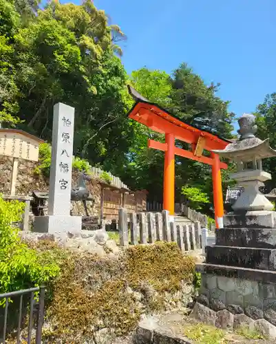 柏原八幡宮の鳥居