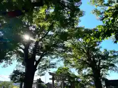 白鳥神社の自然