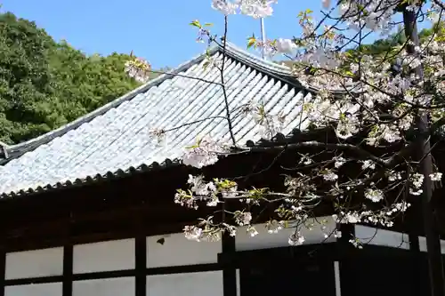 大宝寺(愛媛県)