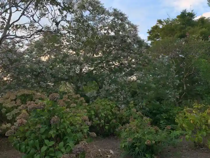 延命院(千葉県)