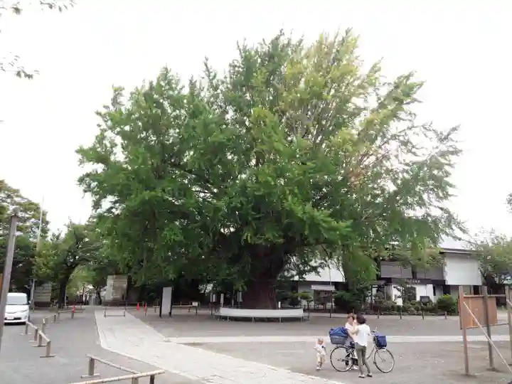 時宗総本山 遊行寺(正式:清浄光寺)の周辺