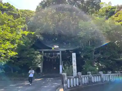 龍尾神社(静岡県)