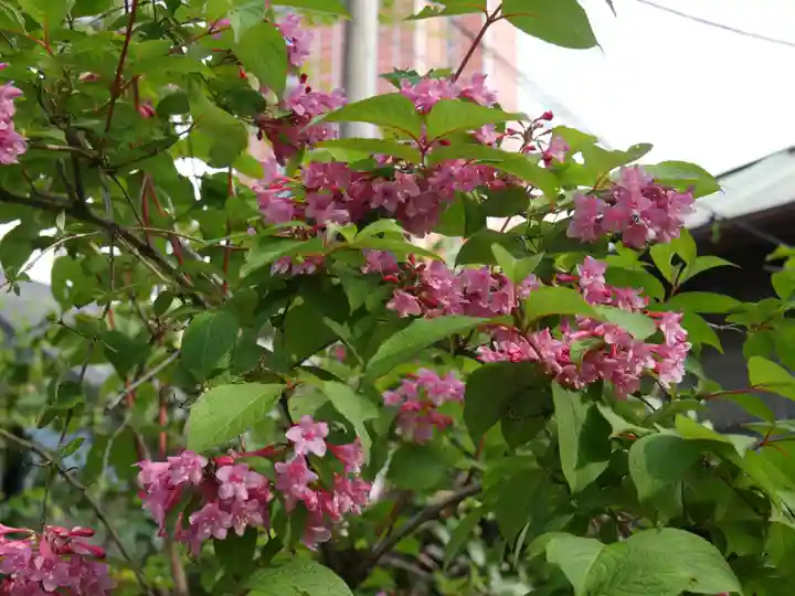 最勝寺教学院の自然