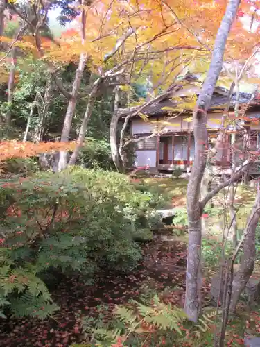 常寂光寺(京都府)