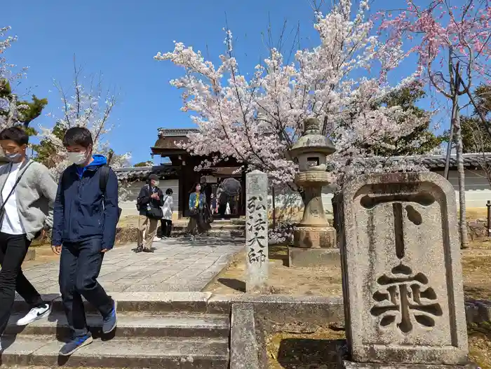 仁和寺の建物その他