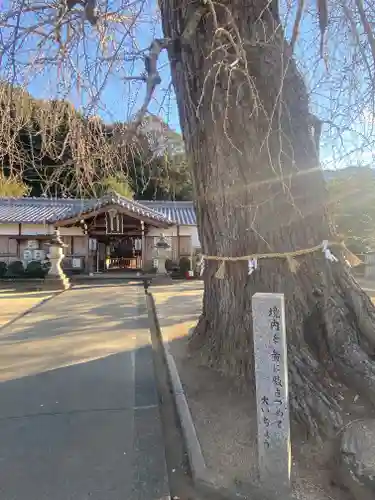丹生酒殿神社の自然