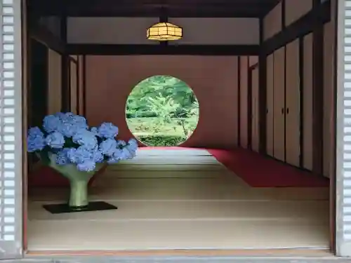 明月院(神奈川県)