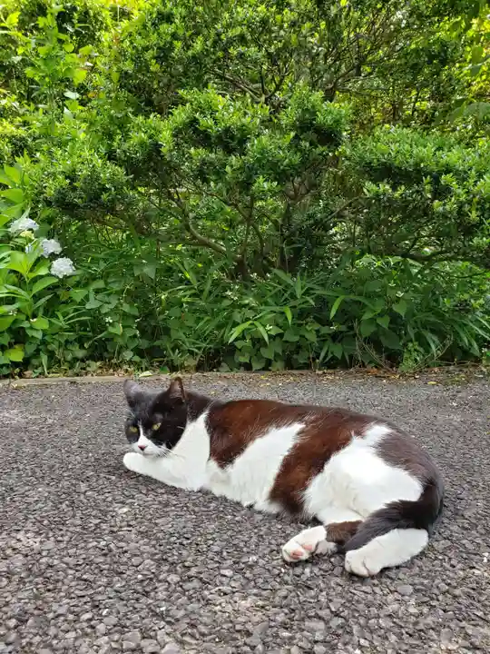 白金氷川神社(東京都)