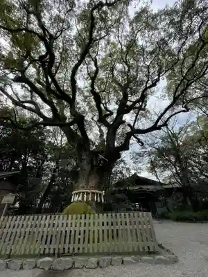 熱田神宮(愛知県)