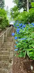 雷神社の自然