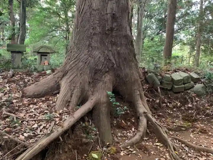 天之宮大神(千葉県)