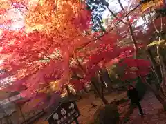 金剛輪寺(滋賀県)