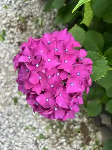 能護寺(埼玉県)