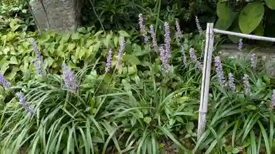 実光院(京都府)