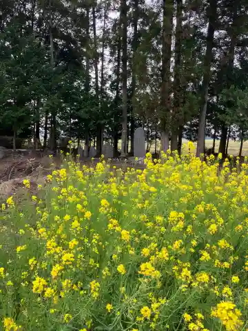 鹿畑温泉神社(栃木県)