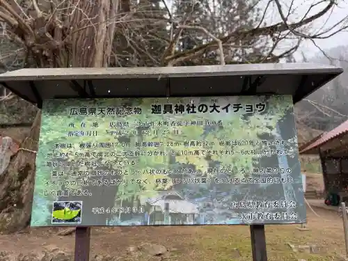 迦具神社の{uncategorized: "未分類", other: "その他", undefined: "問題あり", building: "その他建物", grave: "お墓", sacred_gate: "鳥居", guardian: "狛犬", statue: "像", buddha: "仏像", history: "歴史", nature: "自然", garden: "庭園", animal: "動物", pagoda: "塔", temizu: "手水舎", mountain_gate: "山門・神門", sanctuary: "本殿・本堂", subordinate: "末社・摂社", art: "芸術", scenery: "景色", jizo: "地蔵", ema: "絵馬", goshuin: "御朱印", omikuji: "おみくじ", items: "授与品その他", amulet: "お守り", goshuincho: "御朱印帳", eats: "食事", festival: "お祭り", votive_dance: "神楽", shichigosan: "七五三参", wedding: "結婚式", experience: "体験その他", initially: "初詣", around: "周辺", anti_infection: "感染症対策"}