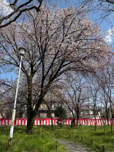 平野神社の{uncategorized: "未分類", other: "その他", undefined: "問題あり", building: "その他建物", grave: "お墓", sacred_gate: "鳥居", guardian: "狛犬", statue: "像", buddha: "仏像", history: "歴史", nature: "自然", garden: "庭園", animal: "動物", pagoda: "塔", temizu: "手水舎", mountain_gate: "山門・神門", sanctuary: "本殿・本堂", subordinate: "末社・摂社", art: "芸術", scenery: "景色", jizo: "地蔵", ema: "絵馬", goshuin: "御朱印", omikuji: "おみくじ", items: "授与品その他", amulet: "お守り", goshuincho: "御朱印帳", eats: "食事", festival: "お祭り", votive_dance: "神楽", shichigosan: "七五三参", wedding: "結婚式", experience: "体験その他", initially: "初詣", around: "周辺", anti_infection: "感染症対策"}