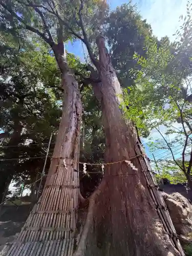 倉見神社(神奈川県)