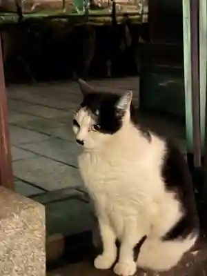 王子神社(徳島県)