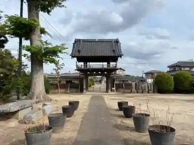 浄禅寺(千葉県)